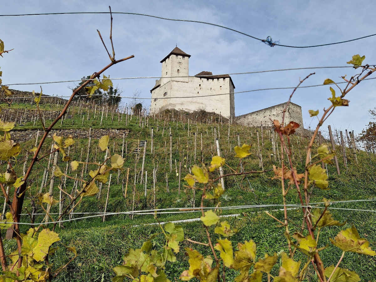 17 Burg Gutemberg Castle